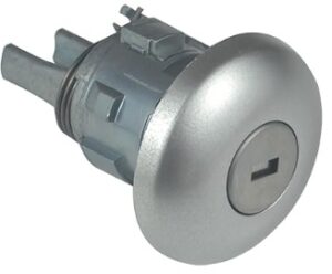 Bombin puerta Ford 1781417